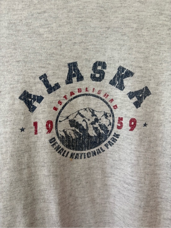 Hanes Tops - Vintage Alaska Denali National Park Graphic Tee in Heather Gray